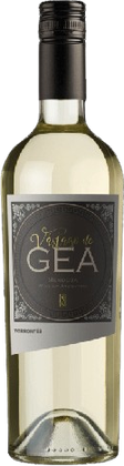 Vástago de Gea Torrontés