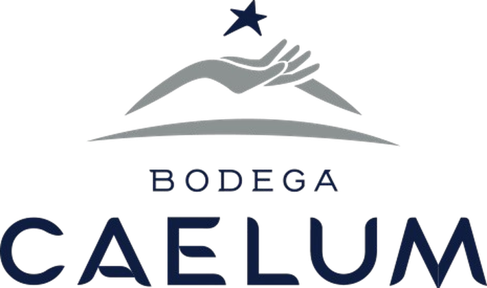 Logo Caelum