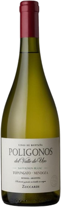 Zuccardi Polígonos Tupungato Sauvignon Blanc