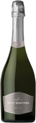 Nieto Senetiner Nature